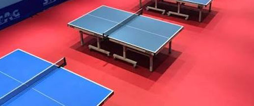 Table Tennis